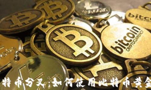 
全面解析比特币分叉：如何使用比特币黄金（BTG）钱包