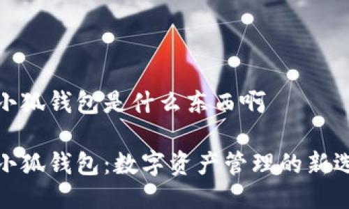 火小狐钱包是什么东西啊

火小狐钱包：数字资产管理的新选择