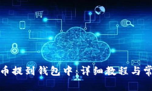 如何将泰达币提到钱包中：详细教程与常见问题解答