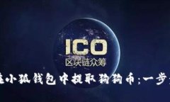如何在小狐钱包中提取狗狗币：一步步指南