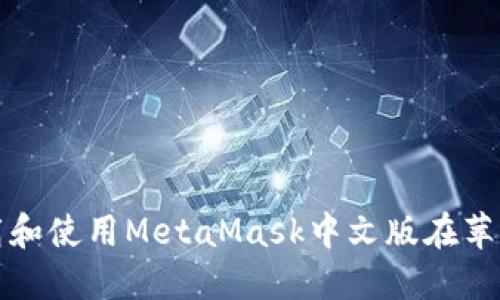 如何下载和使用MetaMask中文版在苹果设备上