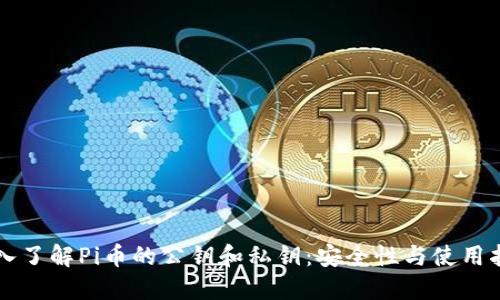 深入了解Pi币的公钥和私钥：安全性与使用指南