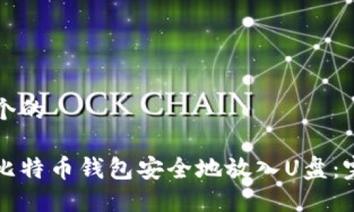 思考一个的

如何将比特币钱包安全地放入U盘：完整指南