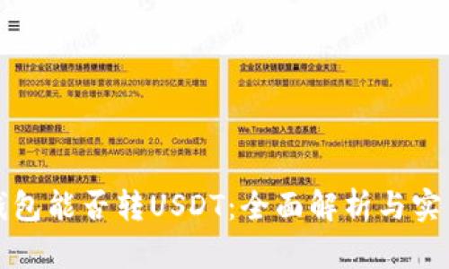 观察钱包能否转USDT：全面解析与实用指南