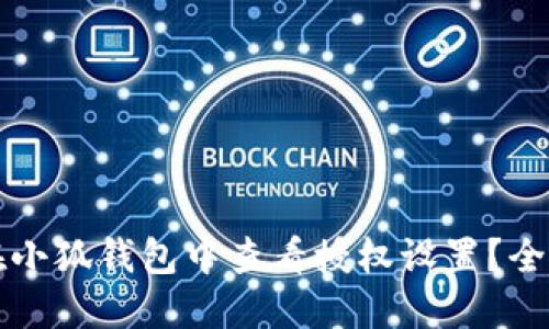 如何在小狐钱包中查看授权设置？全面指南