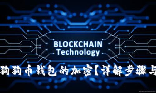 如何解除狗狗币钱包的加密？详解步骤与注意事项