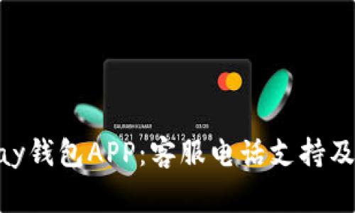 全面了解OKPay钱包APP：客服电话支持及常见问题解答