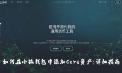 如何在小狐钱包中添加Core资产：详细指南