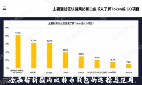 
全面解析国内比特币钱包的选择与使用