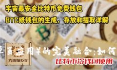 MetaMask与SPAs（单页应用）的完美融合：如何实现