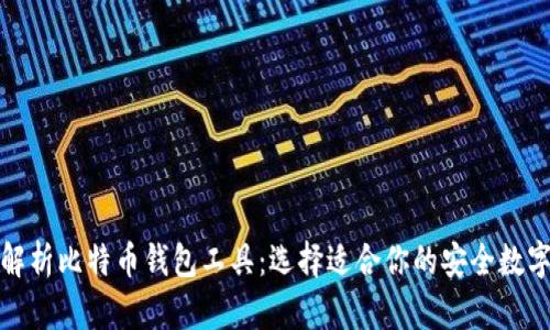 全面解析比特币钱包工具：选择适合你的安全数字钱包