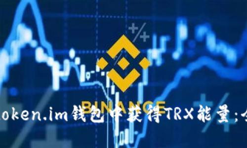如何在token.im钱包中获得TRX能量：全面指南