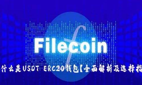 : 什么是USDT ERC20钱包？全面解析及选择指南